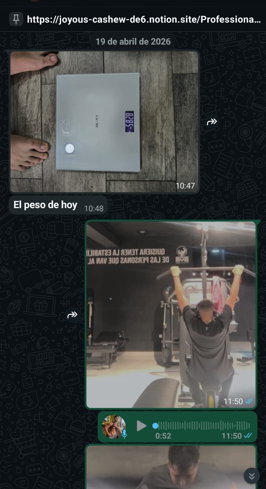 Reporte